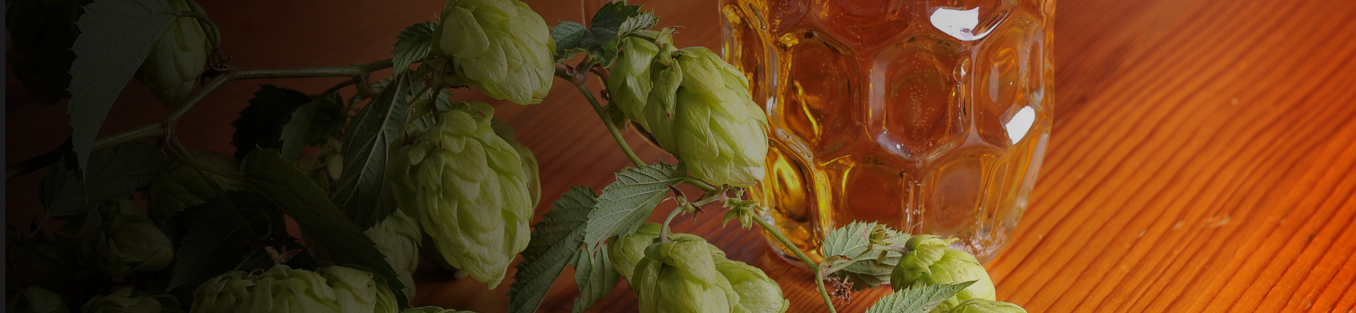 birra e luppolo